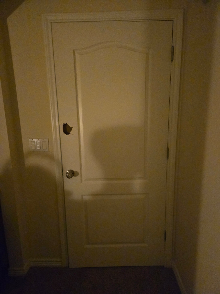 Professional door repair services
